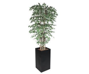 Dekorative planter