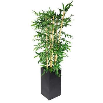 Dekorative planter