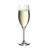 (6 stk.) WMF | ROYAL - Champagneglas 29 - 250 ml - ukalibreret