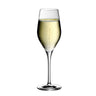 (6 stk.) WMF | DIVINE - Champagneglas 29 - 265 ml - ukalibreret