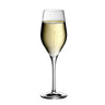 (6 stk.) WMF | DIVINE - Champagneglas - 265 ml - med påfyldningsstreg