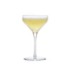(12 stk.) LIBBEY | PRISM - Coupe - 237ml