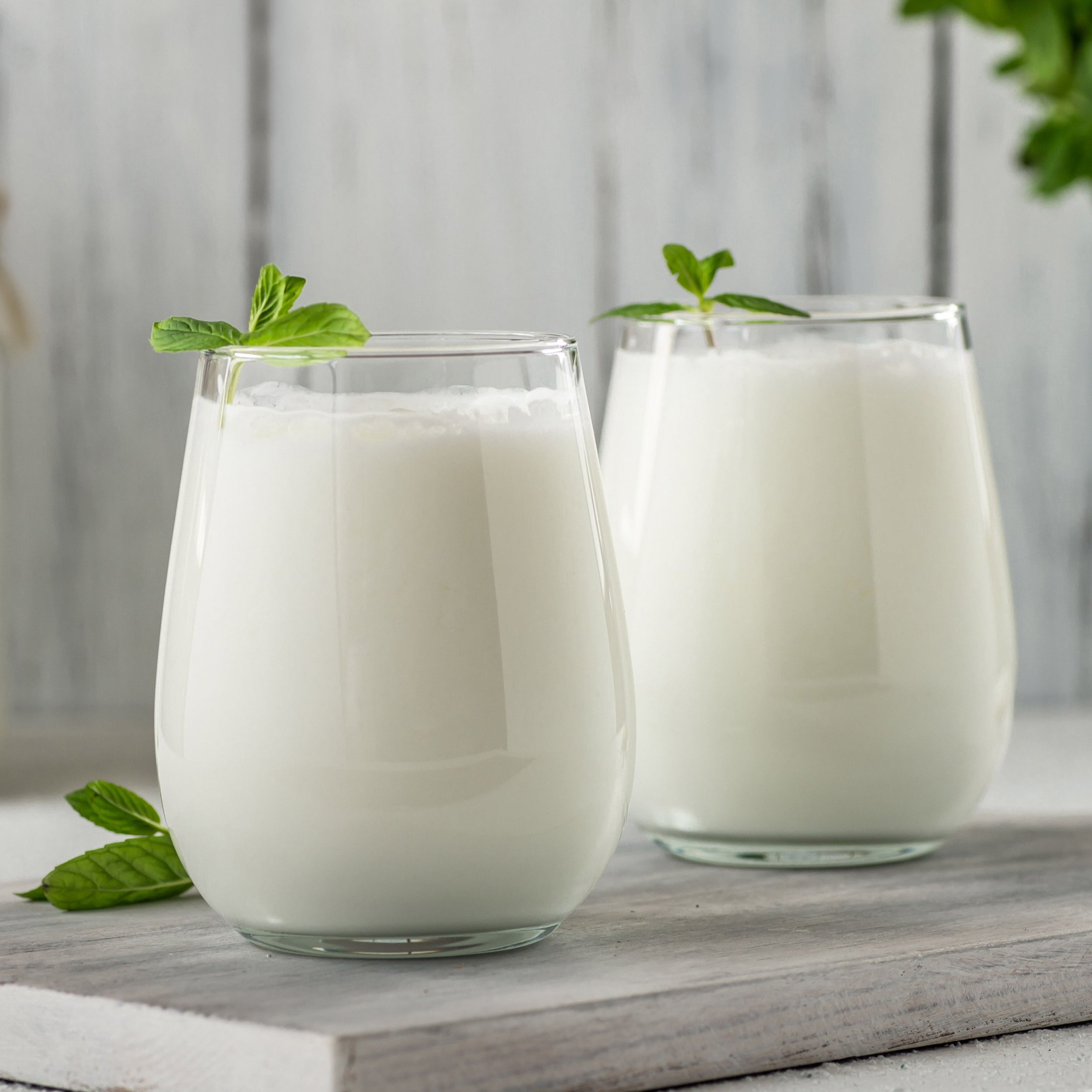ASS_Ayran_glas