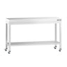 Arbejdsbord i rustfrit stål PREMIUM - 1400x600 mm - med underhylde