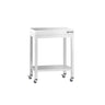 Arbejdsbord i rustfrit stål PREMIUM - 600x700 mm - med underhylde