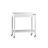 Arbejdsbord i rustfrit stål PREMIUM - 800x600 mm - med underhylde