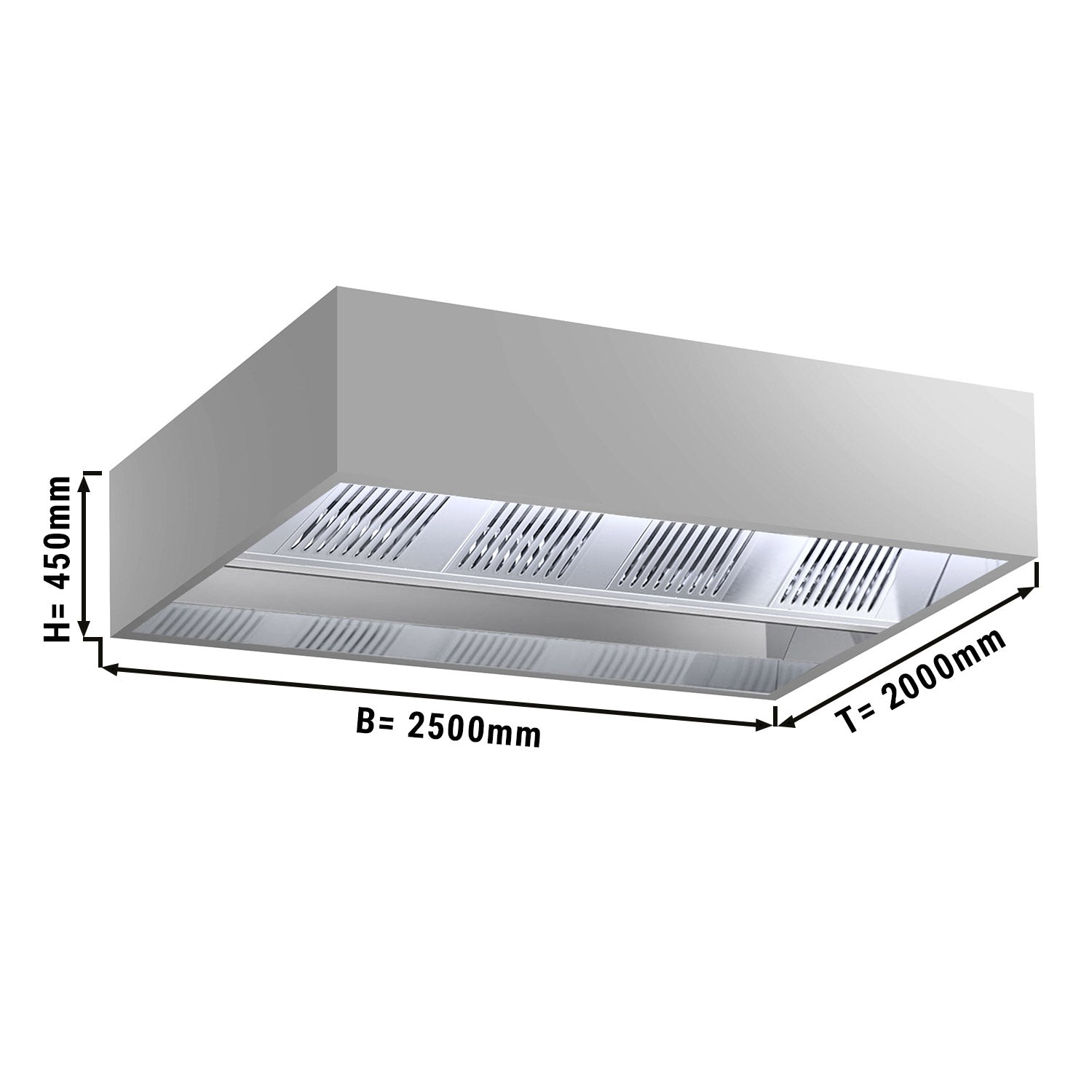 Induktions Loft Emfang - 2,5 m - med filter & LED Lampe