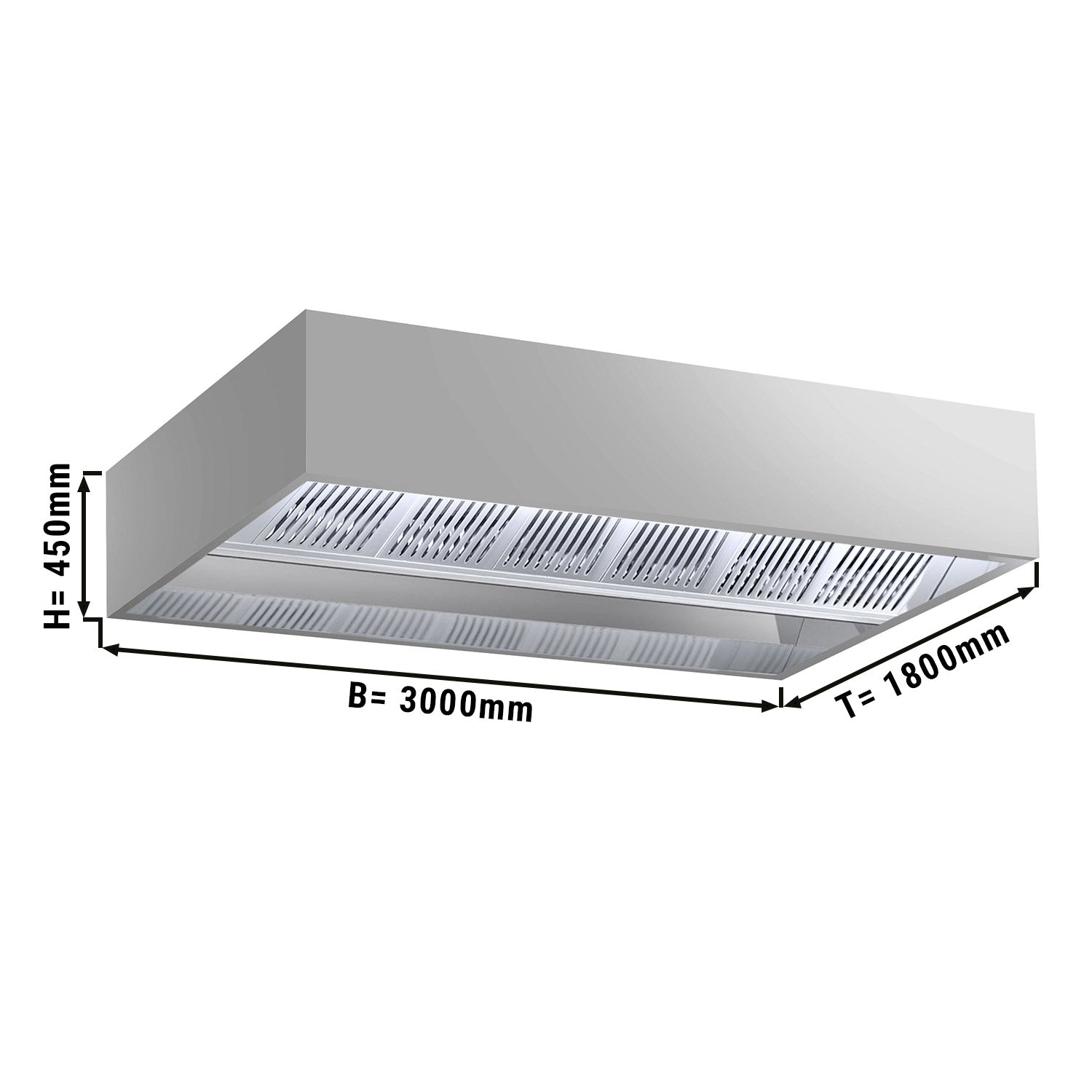 Induktions Loft Emfang - 3,0 m - med filter & LED Lampe