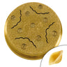 Pastadyseskrive - Conchiglia rustica - passer til NMSM20 - Ø 110 mm