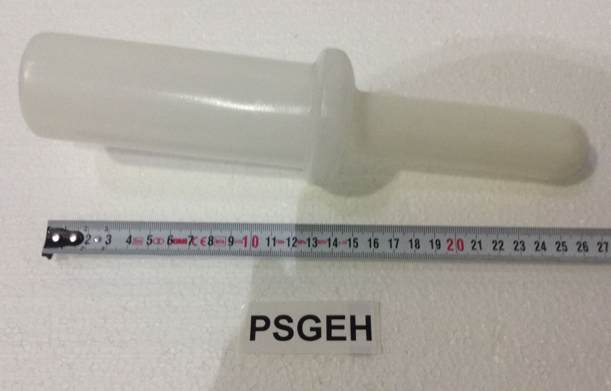 PSGEH