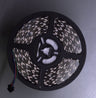 RGB-LED til GKE550LED