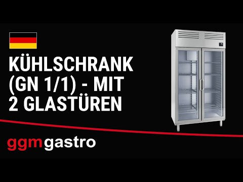 Køleskabe Rustfri Stål PREMIUM PLUS - GN 1/1 - med 2 glasdøre