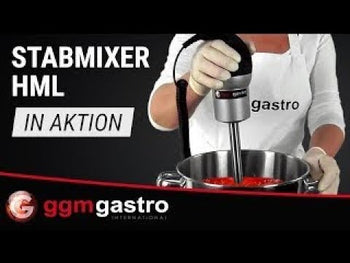 Stavblender med fast blenderstav 200 mm – 250 watt – 2 hastigheder